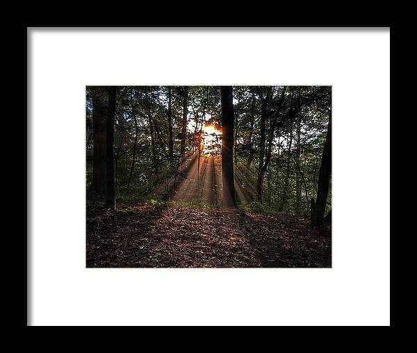 Photo Framed Print featuring the photograph Sunset through the Trees by Evan Foster