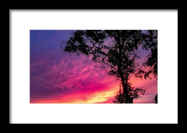 Sunset  Framed Print featuring the photograph Sunset with a tree by Kelsea Peet