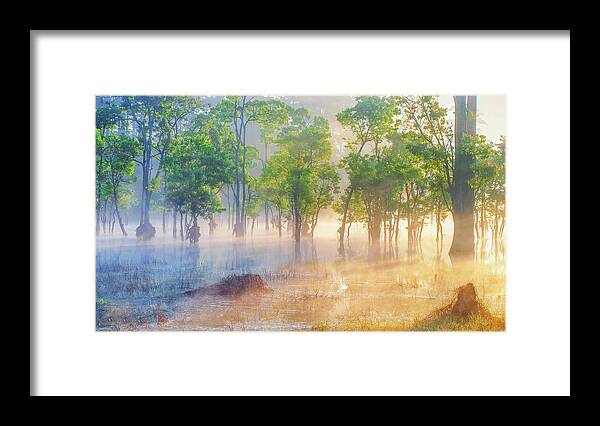 Awesome Framed Print featuring the photograph Sunshine by Khanh Bui Phu