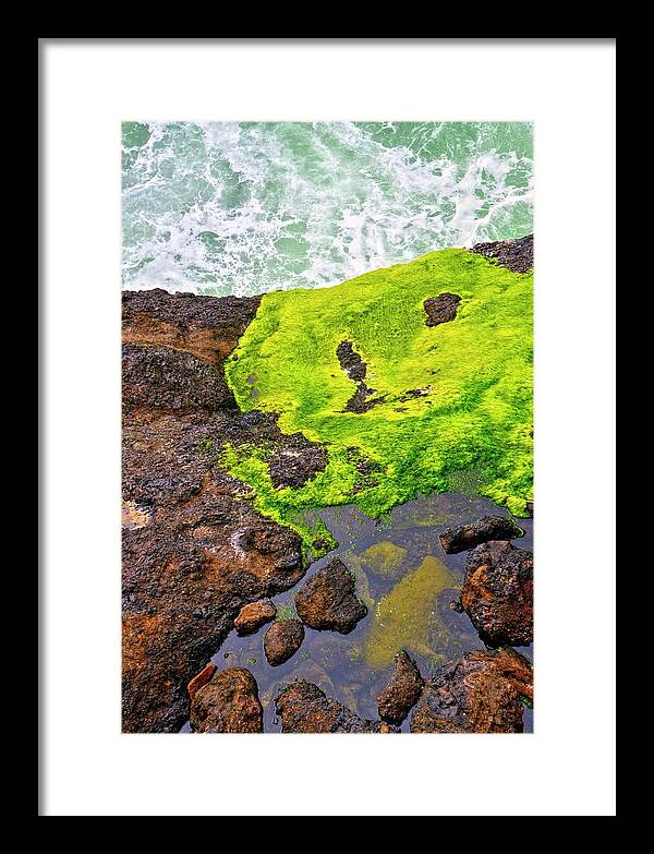 Oregon Framed Print featuring the photograph Surf Lichen Tide Pool by Jerry Sodorff