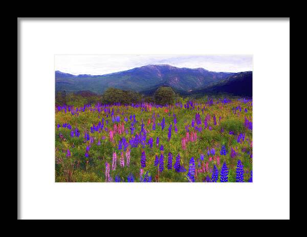 Surreal Framed Print featuring the photograph Surreal Light on Franconia Ridge by Wayne King