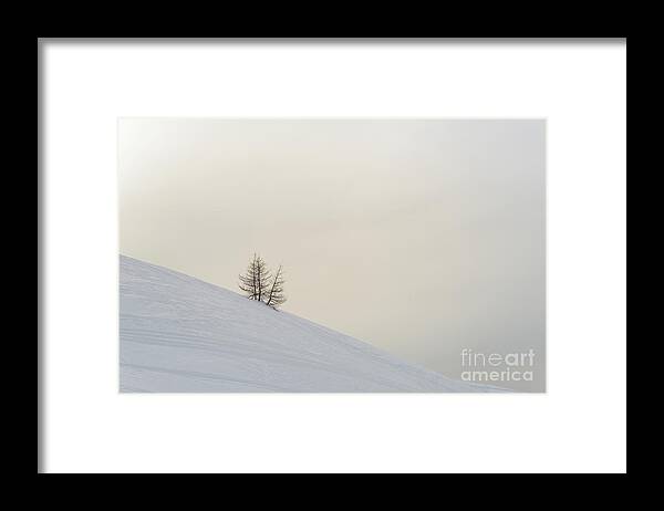 Minimal Framed Print featuring the photograph Surviving by Yuri Santin