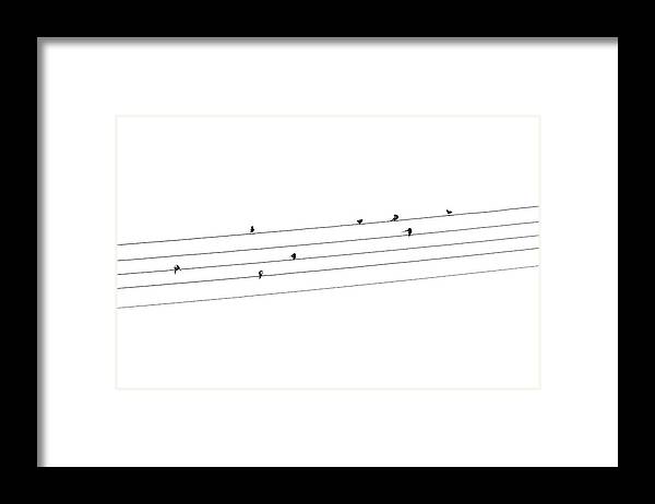 Swallow Framed Print featuring the photograph Swallow sheet music by Viktor Wallon-Hars