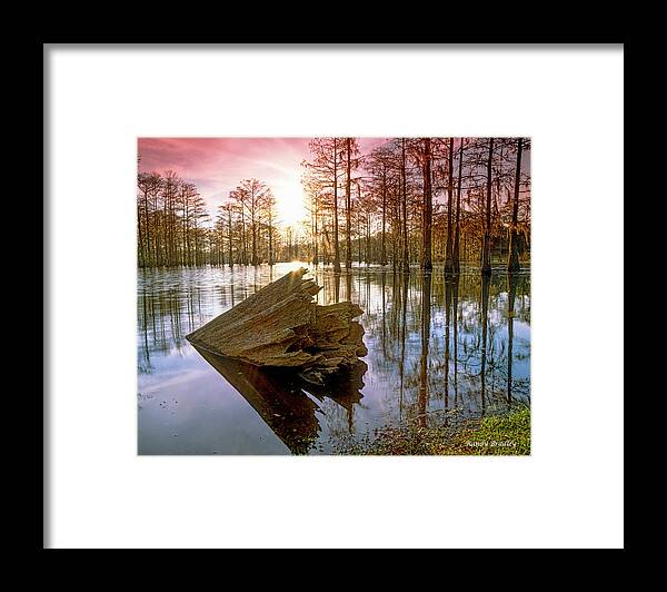 Usa Framed Print featuring the photograph Swamp Monster by Randy Bradley
