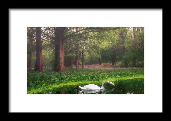 Swan Framed Print featuring the digital art Swan in the Misty Park by Jason Fink