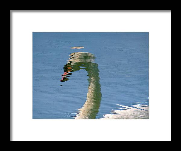 Swan Framed Print featuring the photograph Swan Reflection by Mary Kobet