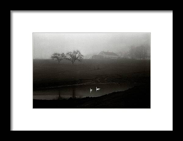 Swan Framed Print featuring the photograph Swans on Scamman Pond by Wayne King
