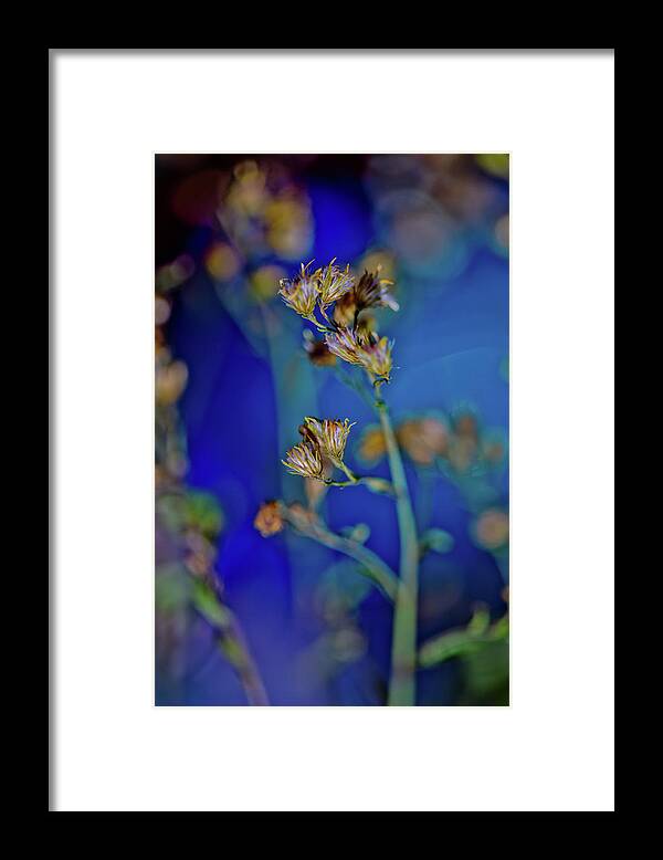 Abstract Flower Photograph Framed Print featuring the photograph Sway With Me by Az Jackson