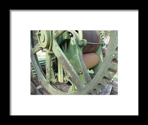 Sugarcane Framed Print featuring the photograph Sweet Green by Allen L Improta