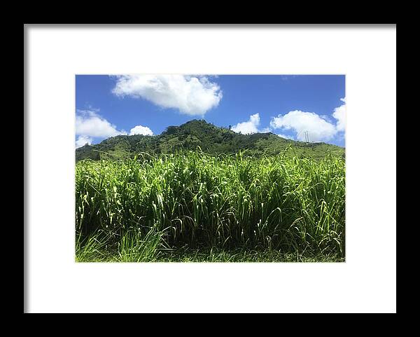 Kauai Framed Print featuring the photograph Sweet Kauai Breeze by Jennifer Kane Webb