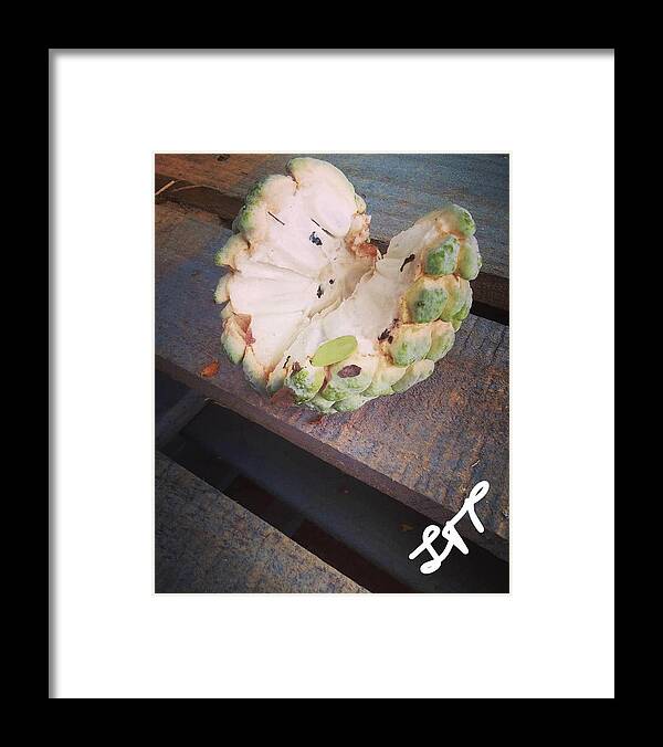 Sugar Framed Print featuring the photograph Sweet Like a Sugar Apple by Esoteric Gardens KN