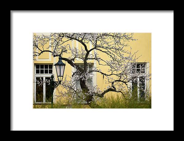 Jenny Rainbow Fine Art Photography Framed Print featuring the photograph Sweet Spring in Prague 4 by Jenny Rainbow