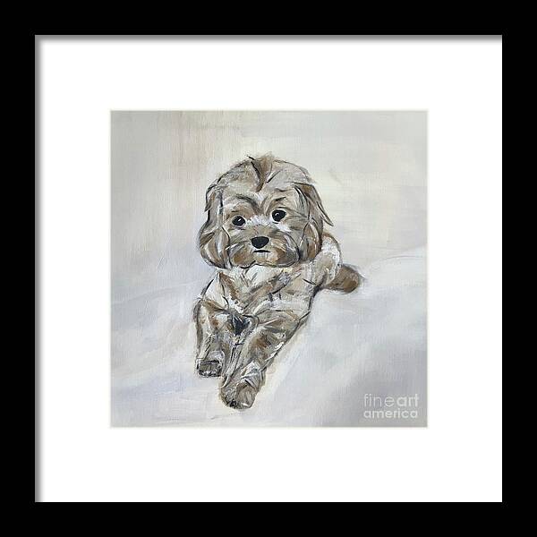 Dog Acrylic Painting Framed Print featuring the painting Sweetie by Susanna Schorr