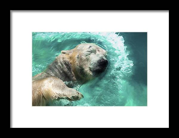 2019 Framed Print featuring the photograph Swimming Bear by Wade Brooks