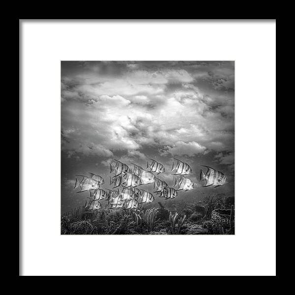 Clouds Framed Print featuring the photograph Swimming under the Clouds in Black and White by Debra and Dave Vanderlaan