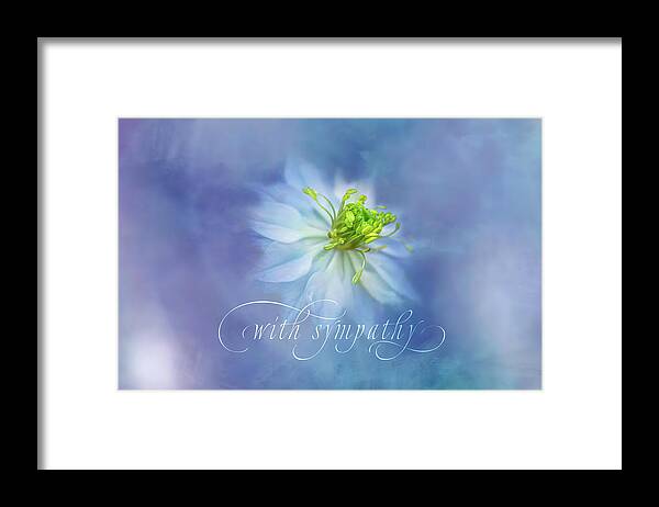 Photography Framed Print featuring the digital art Sympathy Wishes by Terry Davis