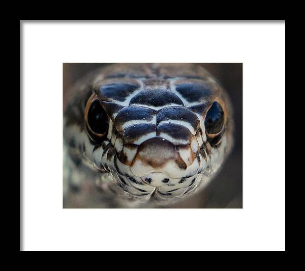  Framed Print featuring the photograph _t__1234 by John T Humphrey