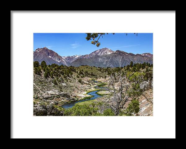  Framed Print featuring the photograph _t__9337 by John T Humphrey