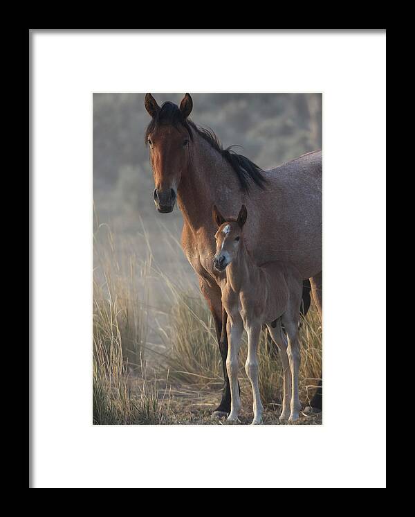  Framed Print featuring the photograph _t__9496 by John T Humphrey