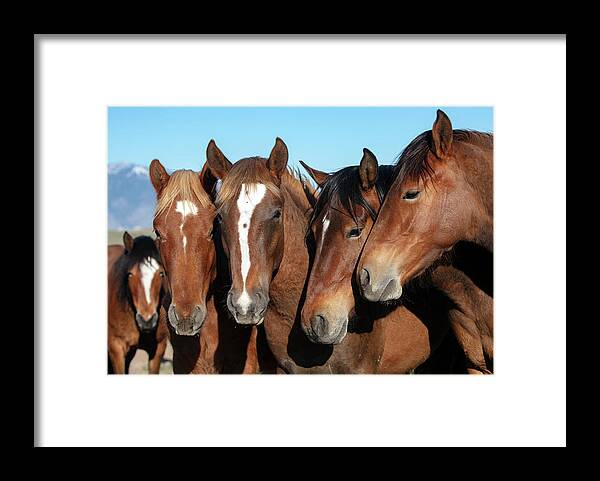  Framed Print featuring the photograph _t__9744 by John T Humphrey