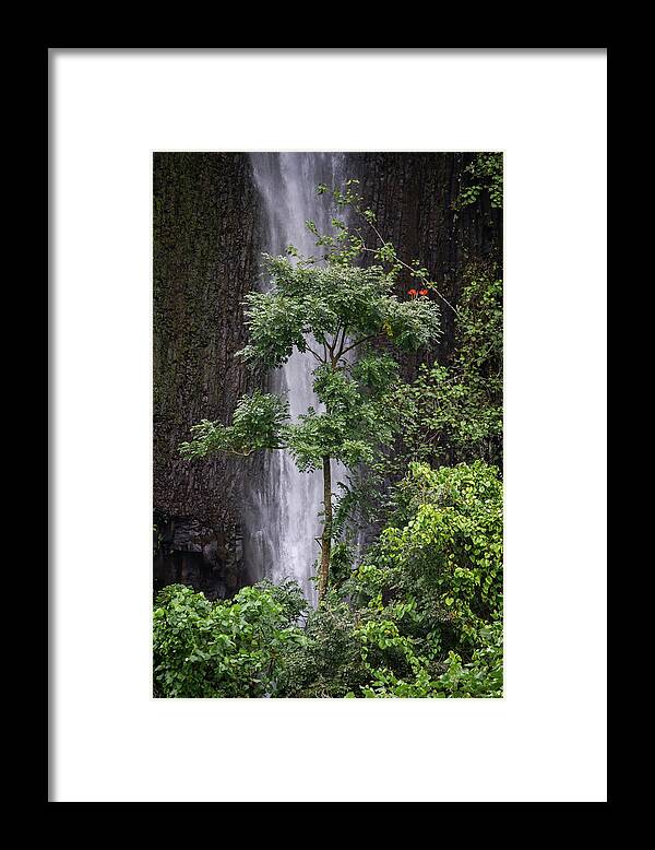 Royal Poinciana Framed Print featuring the photograph Tahitian Waterfalls by John Haldane