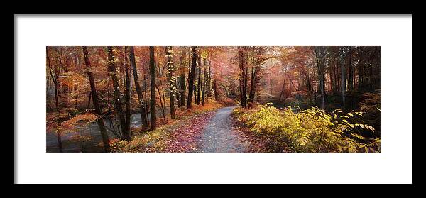 Trail Framed Print featuring the photograph Take a Walk in the Woods Panorama Painting by Debra and Dave Vanderlaan