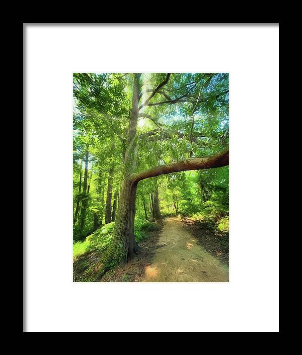 Narrow Path Framed Print featuring the photograph Take the Narrow Path by Michael Frank