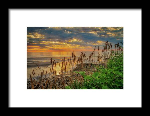 Reeds Framed Print featuring the photograph Tall Grasses of Marginal Way by Penny Polakoff