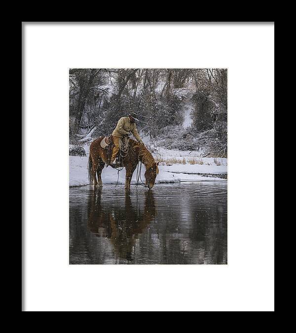 Horse Framed Print featuring the photograph Tap the Water by Laura Hedien