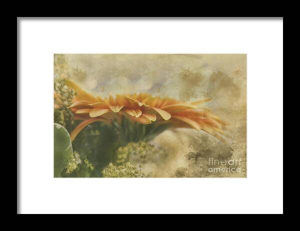 Flower Framed Print featuring the photograph Tapestry by Joan Bertucci
