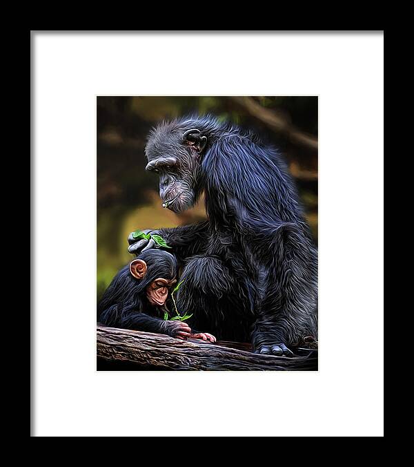 Chimpanzee Framed Print featuring the digital art Teach Your Children Well by Brad Barton