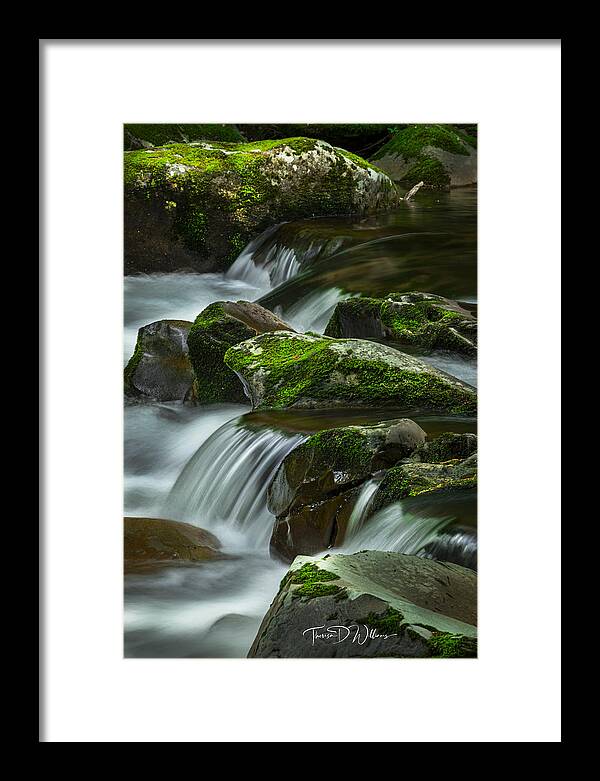 Landscape Framed Print featuring the photograph Tennessee Smoky Mountains Cascades by Theresa D Williams