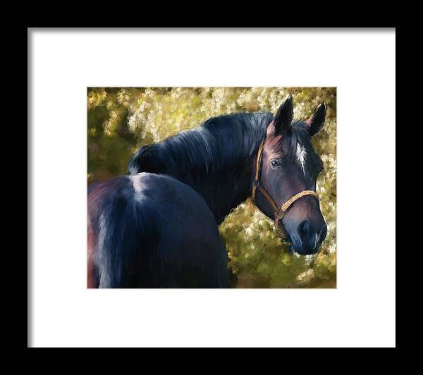 Tennessee Walker Painting Framed Print featuring the painting Tennessee Walker Horse Portrait by Portraits By NC