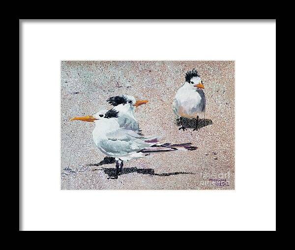 Tern Framed Print featuring the painting Tern Trio by Merana Cadorette
