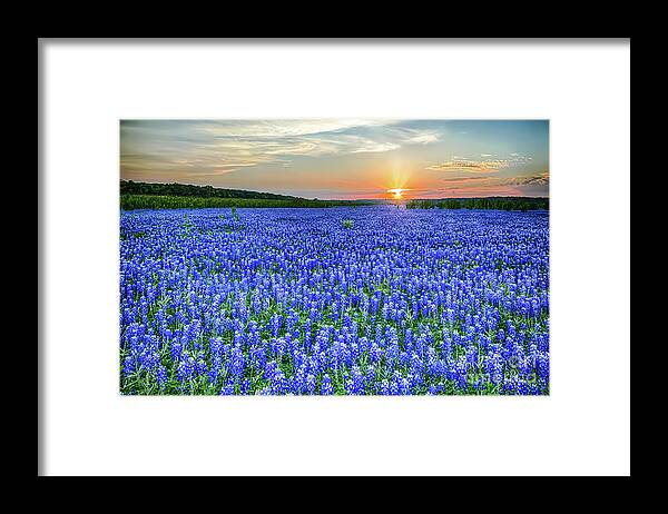 Texas Framed Print featuring the photograph Texas Bluebonnet Vista - Pictures of Bluebonnets Images by Bee Creek Photography - Tod and Cynthia