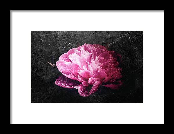 Peony Framed Print featuring the photograph Textured Red Peony by Philippe Sainte-Laudy