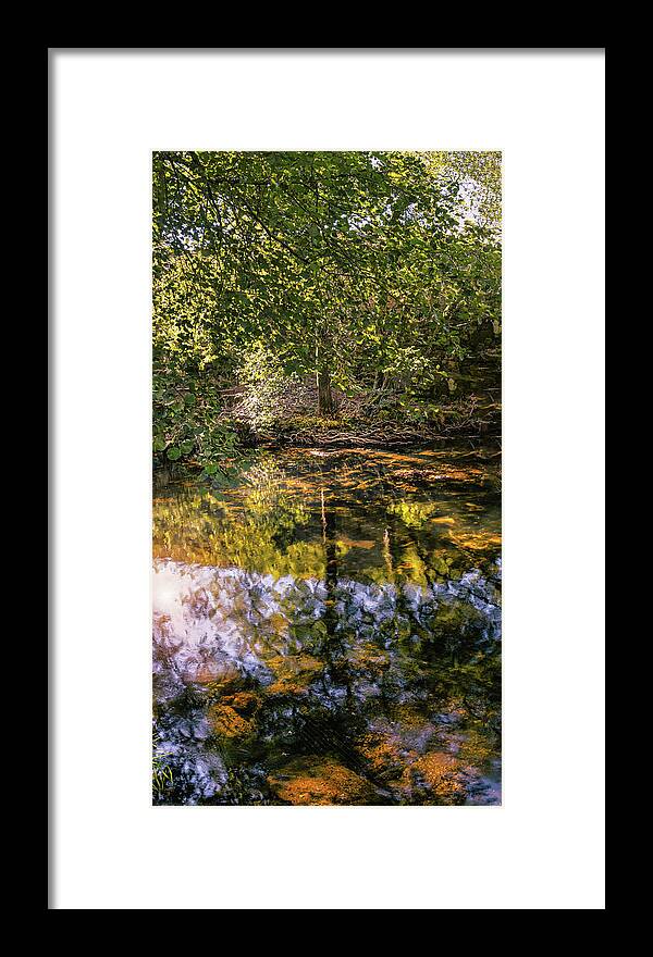 Tree Framed Print featuring the photograph Textured tree in the pond by Micah Offman