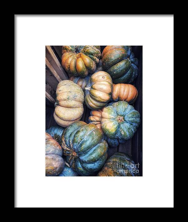 Pumpkins Framed Print featuring the photograph Thanksgiving Time by Diana Rajala