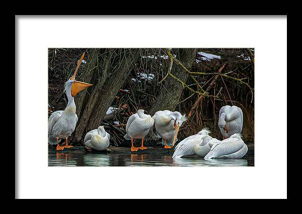 Evergreen Lake Framed Print featuring the photograph The Alarm Clock by Ray Silva