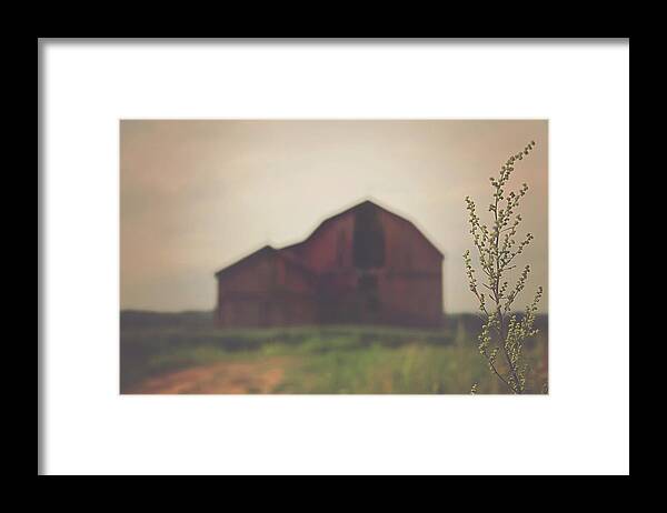 Carrie Ann Grippo-pike Framed Print featuring the photograph The Barn Daylight Version by Carrie Ann Grippo-Pike