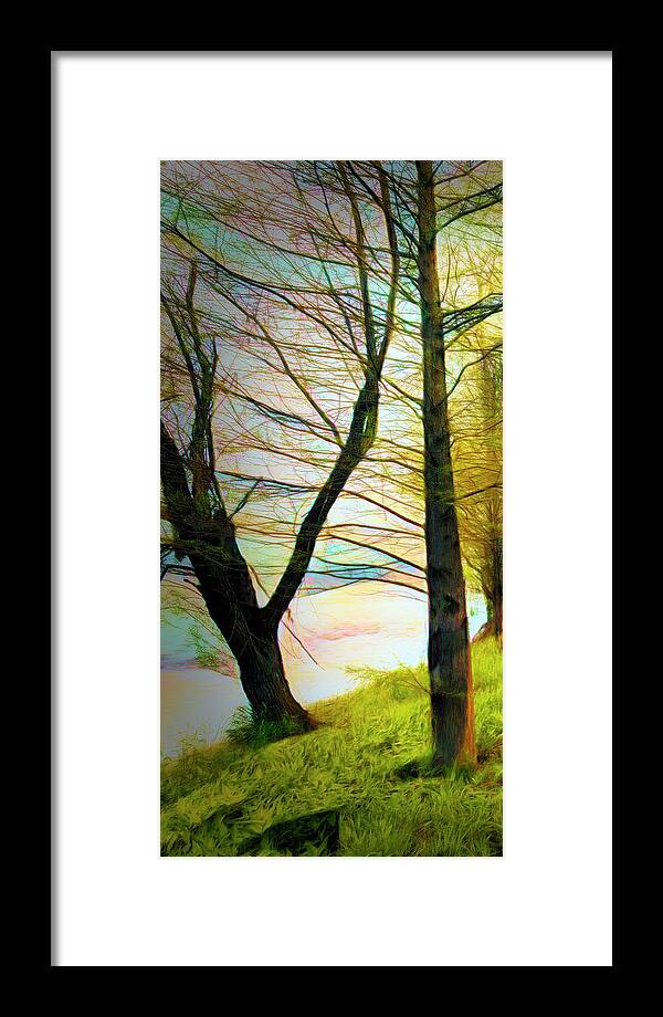 Carolina Framed Print featuring the photograph The Beautiful Forest Trail in Abstract in Left Vertical Triptych by Debra and Dave Vanderlaan