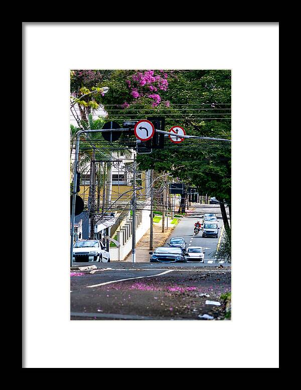 Scenics Framed Print featuring the photograph The beauty and glamor of the pink Ipê (Handroanthus) coloring and beautifying the city. by CRMacedonio