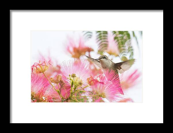 Nature Framed Print featuring the photograph The Beauty of Nature by Linda Shannon Morgan