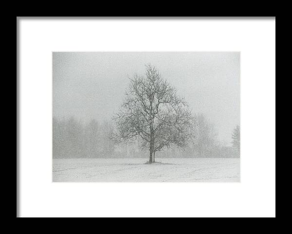 Snow Framed Print featuring the photograph The Beauty of Solitude 2 by Carrie Ann Grippo-Pike
