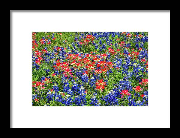 Texas Wildflowers Framed Print featuring the photograph The Best of the Best by Lynn Bauer