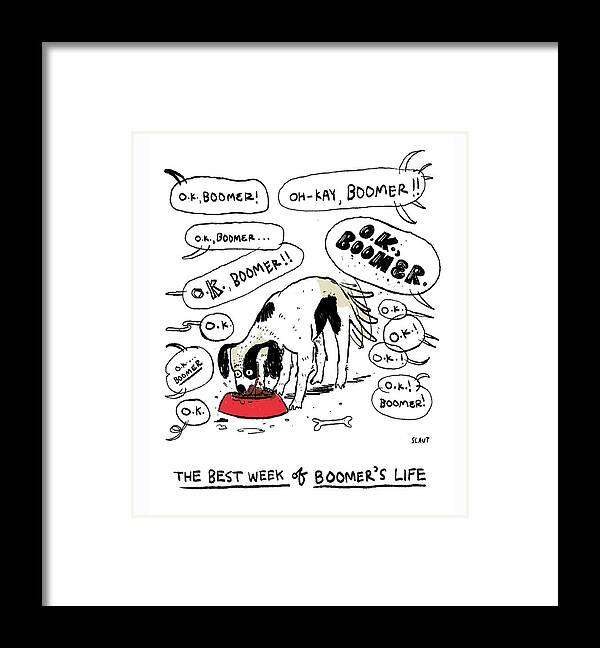 Captionless Framed Print featuring the drawing The Best Week Of Boomer's Life by Sara Lautman