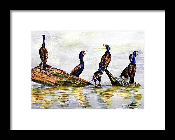 Cormorants Framed Print featuring the painting The Board Meeting by Barbara F Johnson