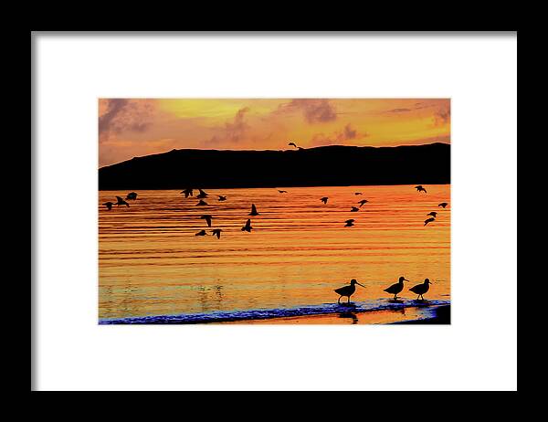 Sunset Framed Print featuring the photograph The Boys of Sunset by Terry Walsh