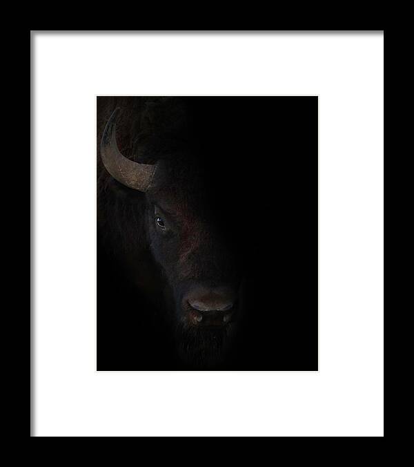 The Framed Print featuring the photograph The Bullseye by Brian Gustafson