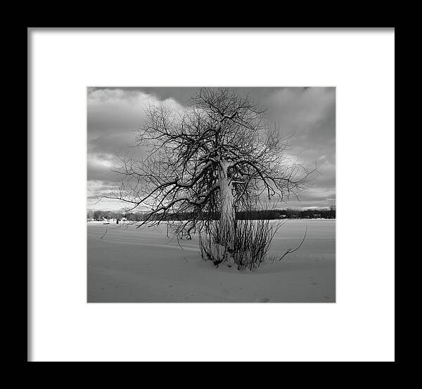 Snow Framed Print featuring the photograph The calm after the storm by Carl Marceau